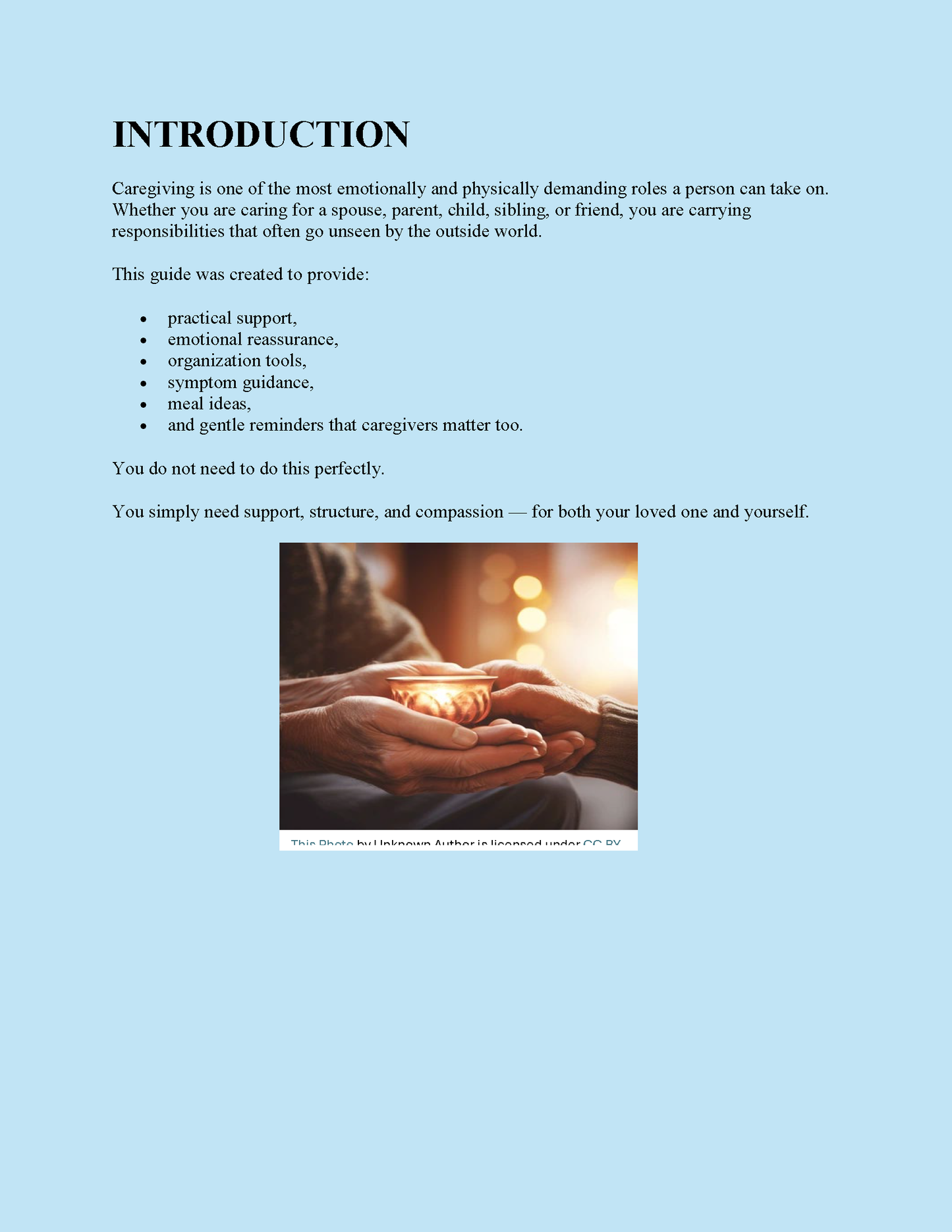 The Caregiver Survival Guide